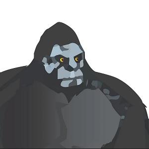 Motion Picture Lighting