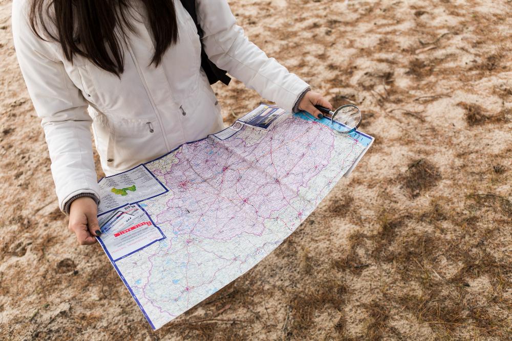 drone map market