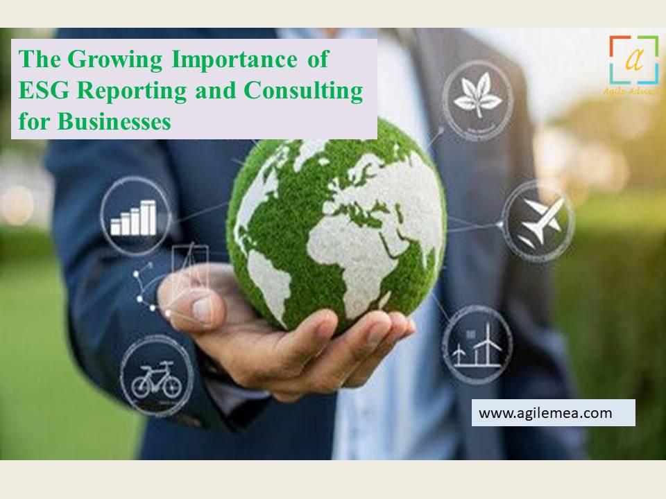 ESG consulting