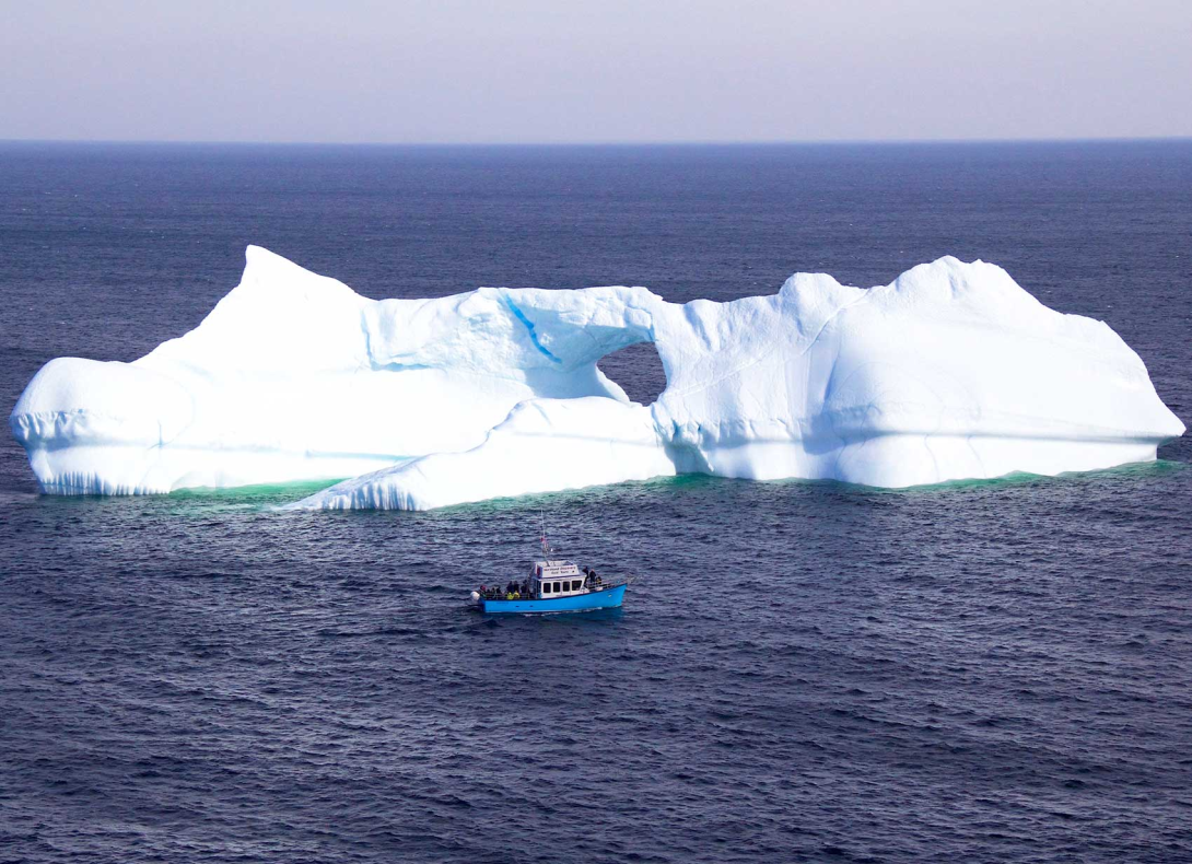 iceberg watching newfoundland