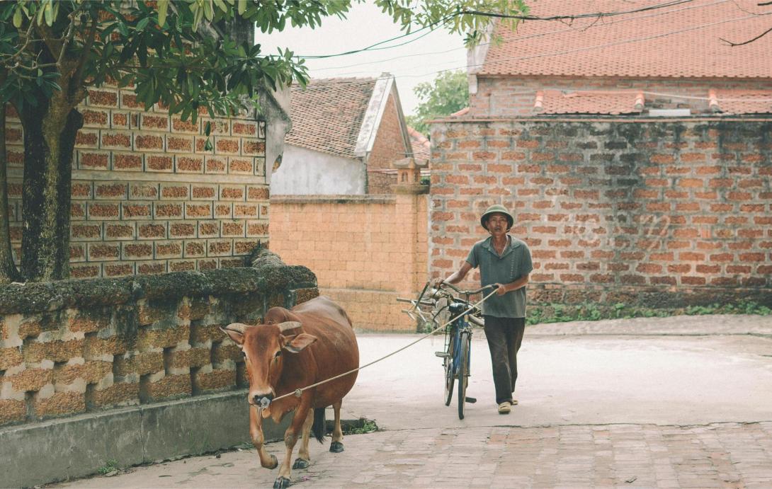 When a Vietnam Tour Package Feels Too Fast