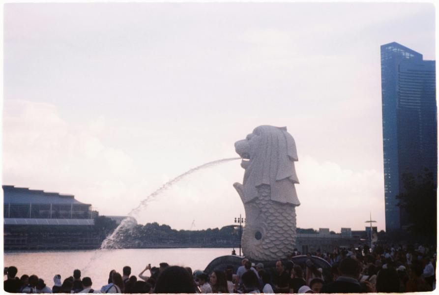 Singapore tour packages feel rushed till they don’t