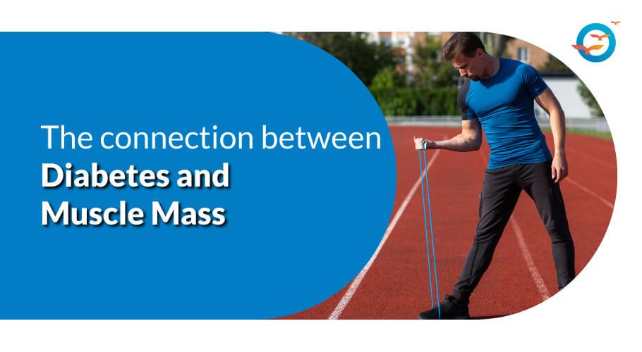  diabetes and muscle mass