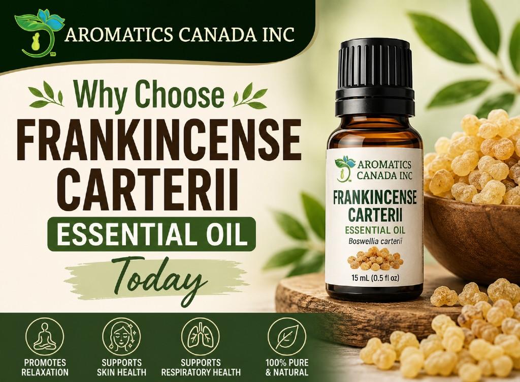 Frankincense Carterii Essential Oil