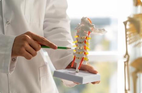 Spine specialist in Hisar