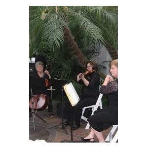 Classical Music Ensemble
