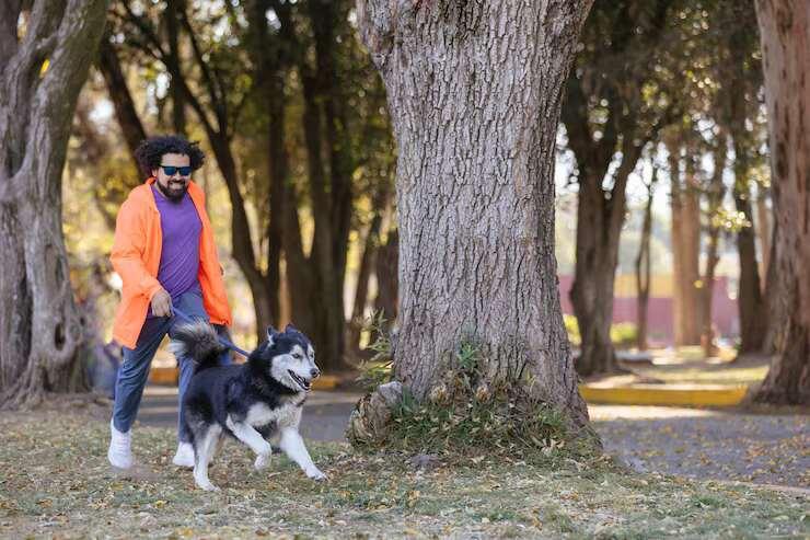 Dog Walkers in Visakhapatnam