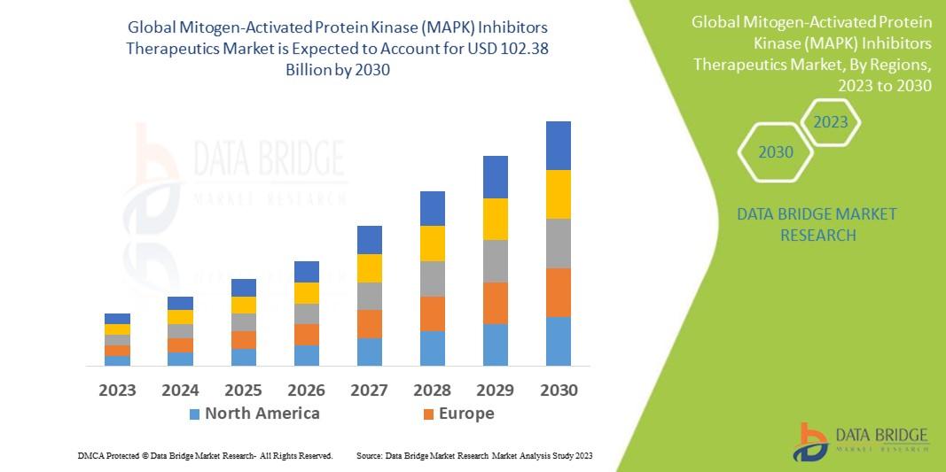  The expected CAGR of mitogen-activated protein kinase (MAPK) inhibitors therapeutics market is tend to be around 6.60% in the mentioned forecast period. The market is valued at USD 61.4 billion in 2022, and it would grow upto USD 102.38 billion by 2030.