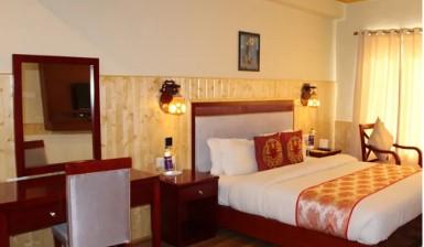 hotel in leh near market