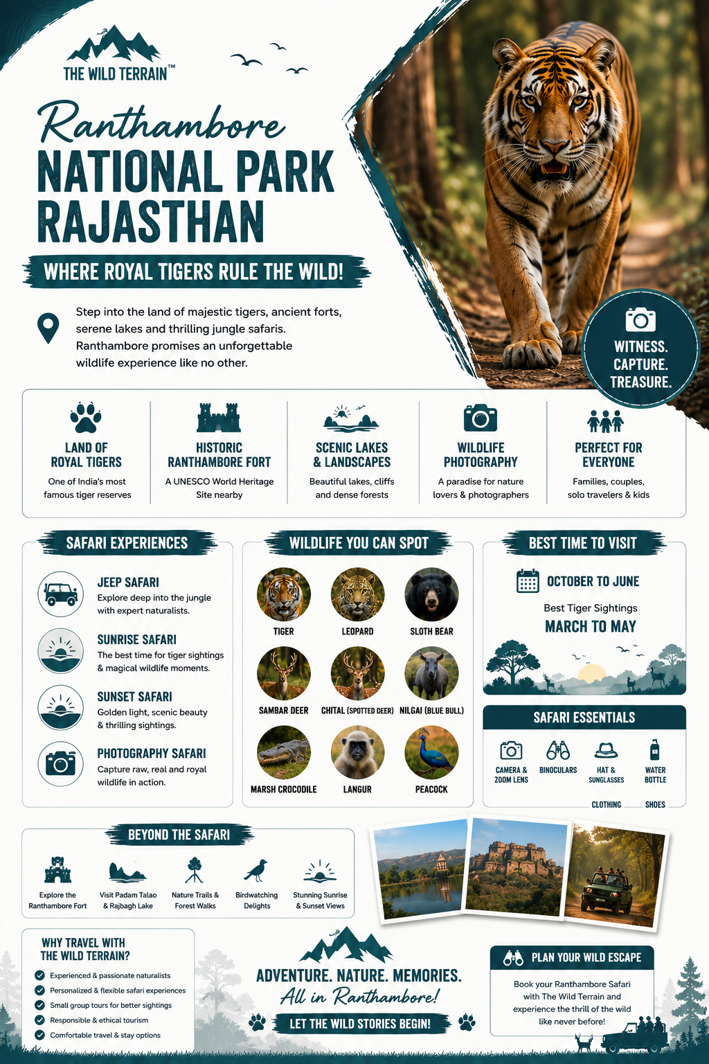 Ranthambore National Park in Rajasthan