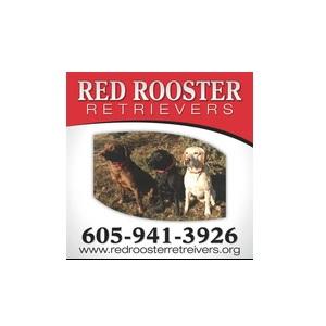 Pet Services