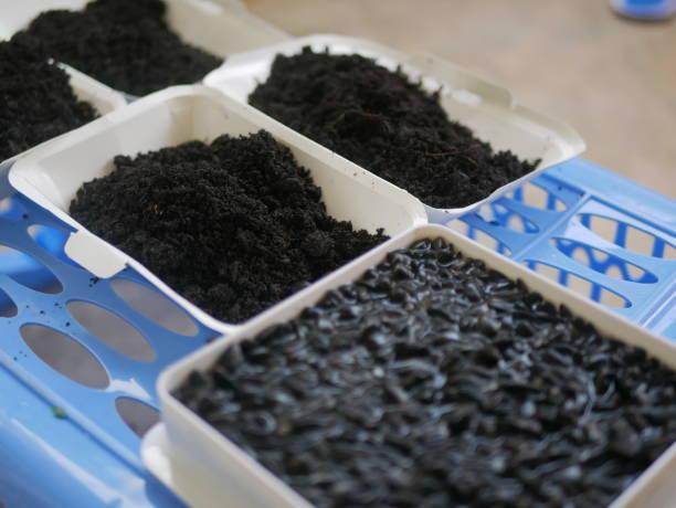 Best Worm Composting Kits