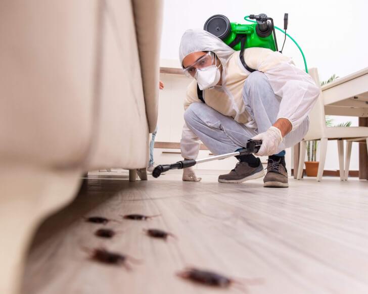 cockroach pest control Central Coast