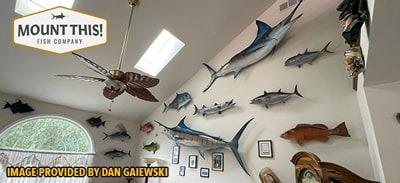 Fish taxidermy