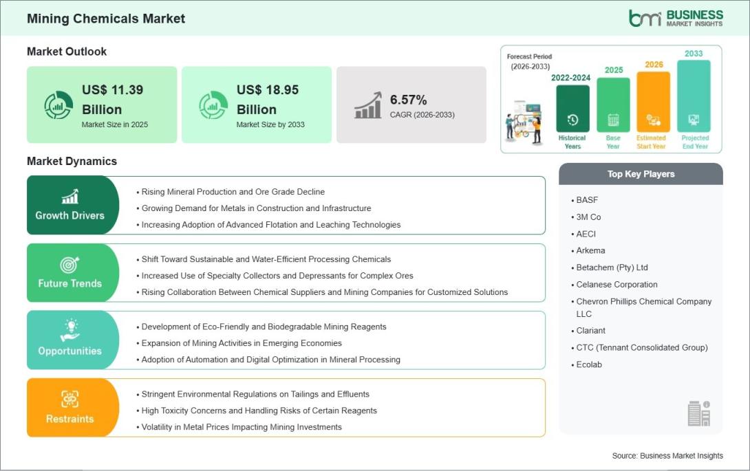 Mining Chemicals Market