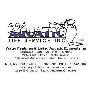 Water Feature and Ponds Services