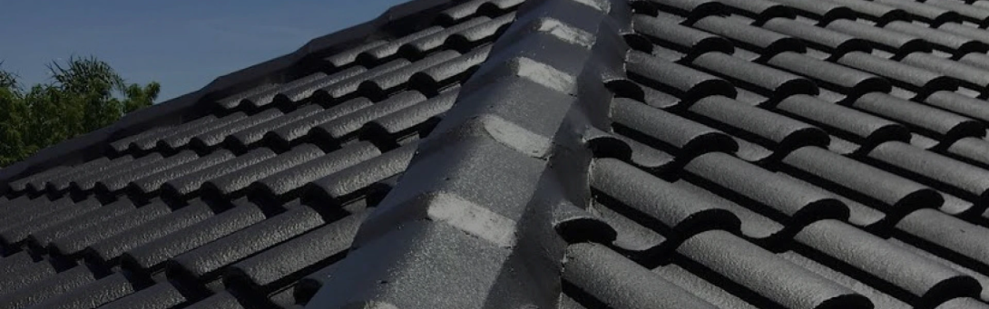 roof washing central coast nsw