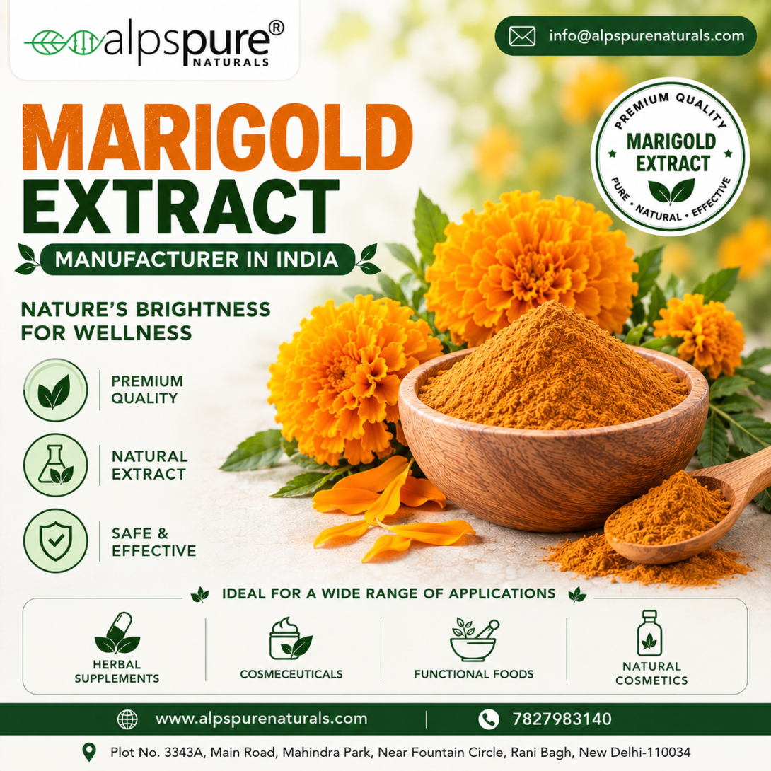 Herbal Extract Manufacturer in India, Herbal Extract Suppliers in India