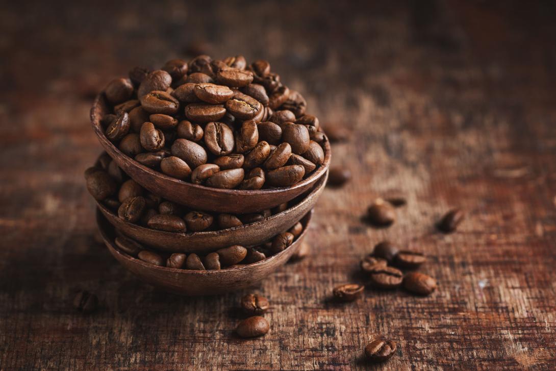 arabica coffee beans