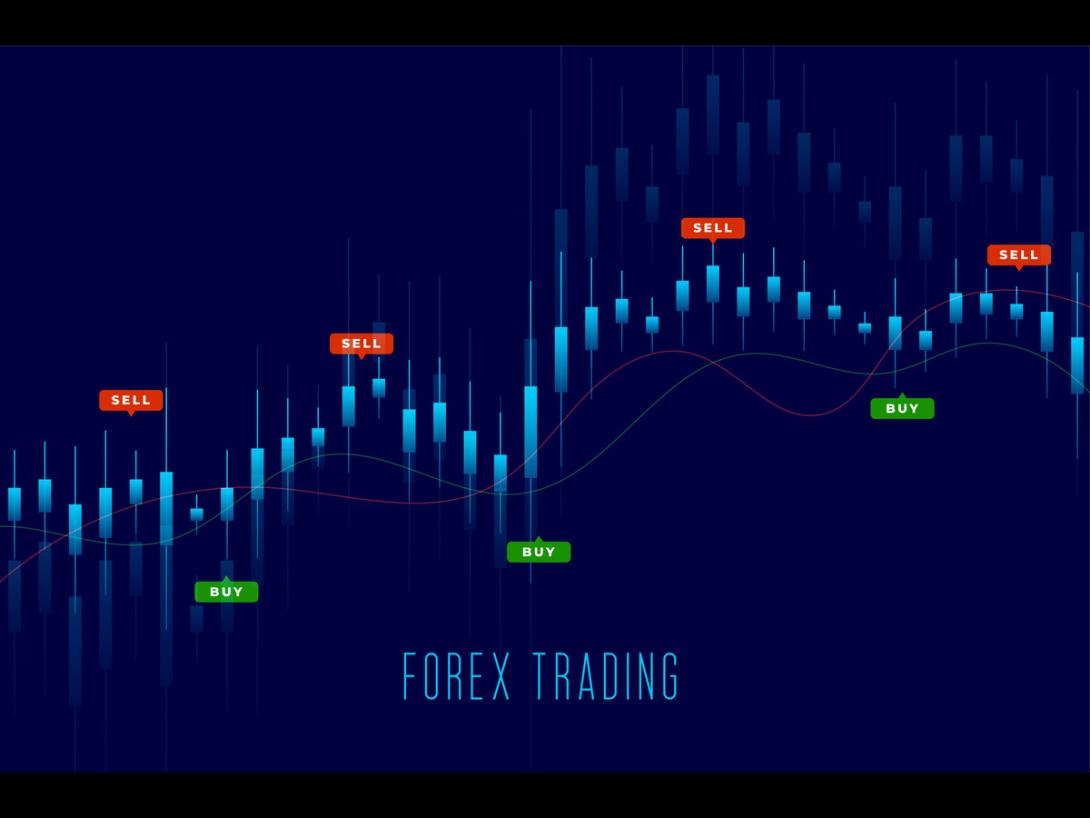 Forex Trading Profit Per Day 