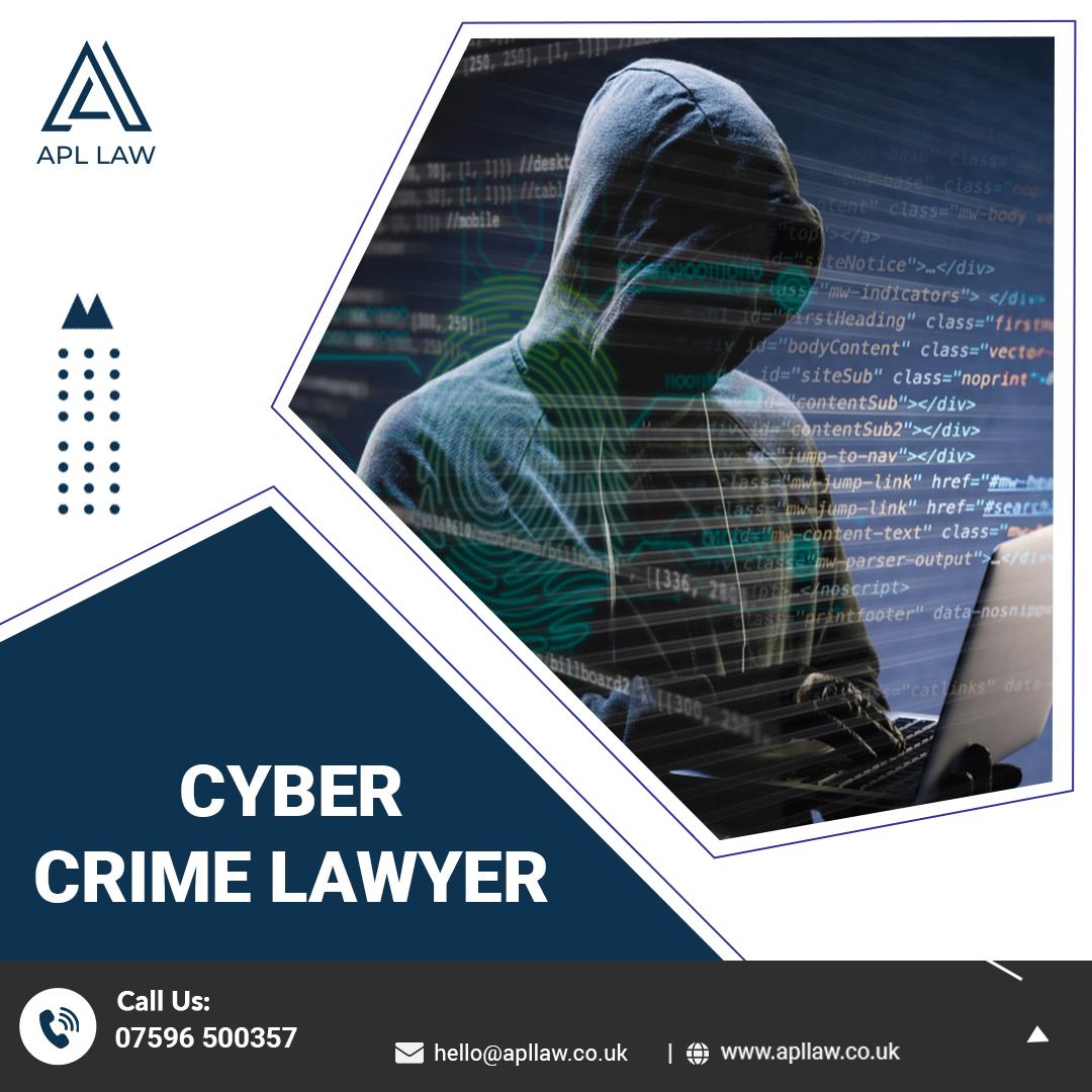 Cyber Crime Lawyer