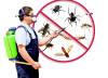 Profile picture for user cprpestservices