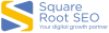 Profile picture for user squarerootseo12