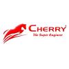 Profile picture for user CHERRY - The Super Engineer